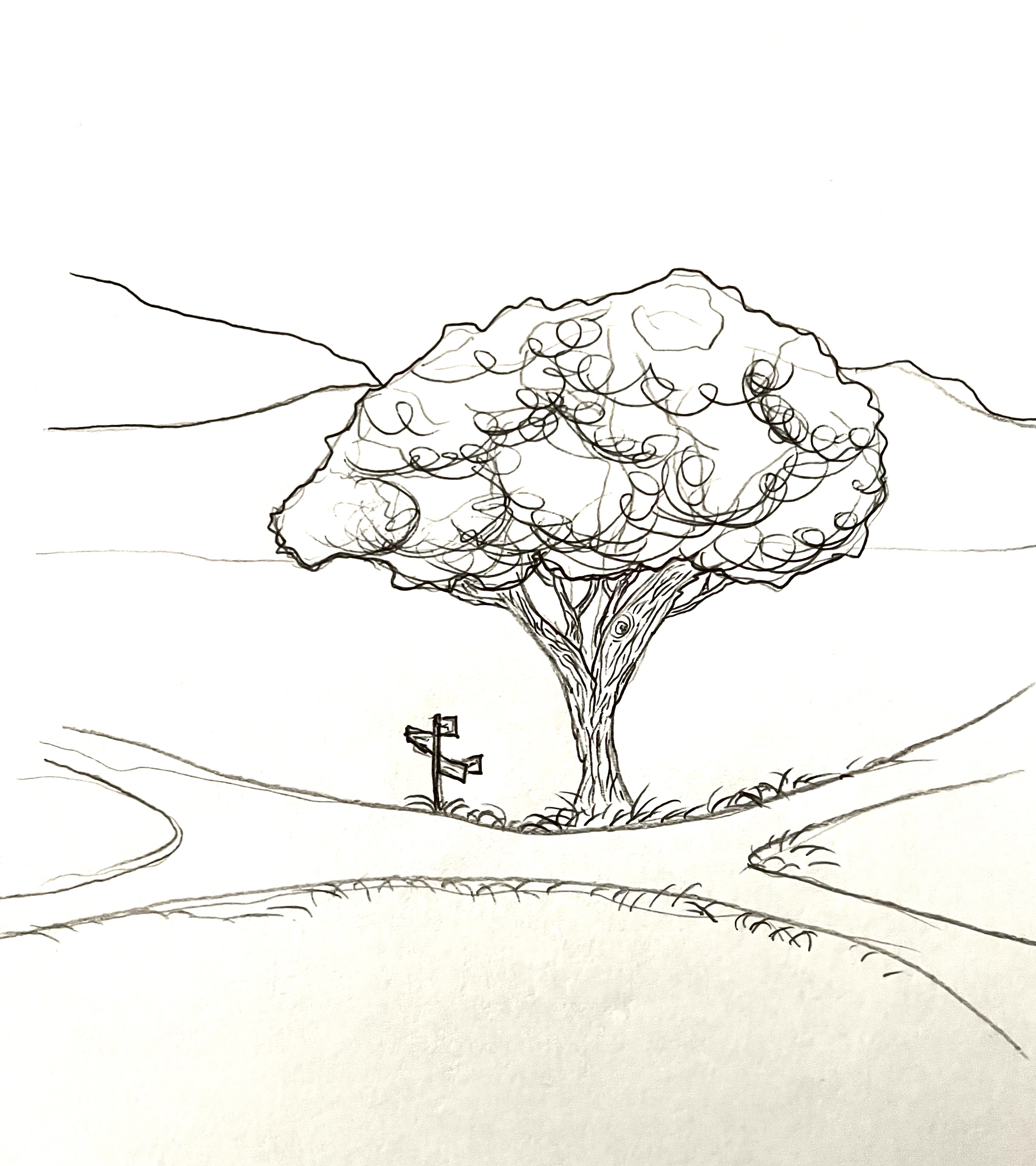 Sketch II