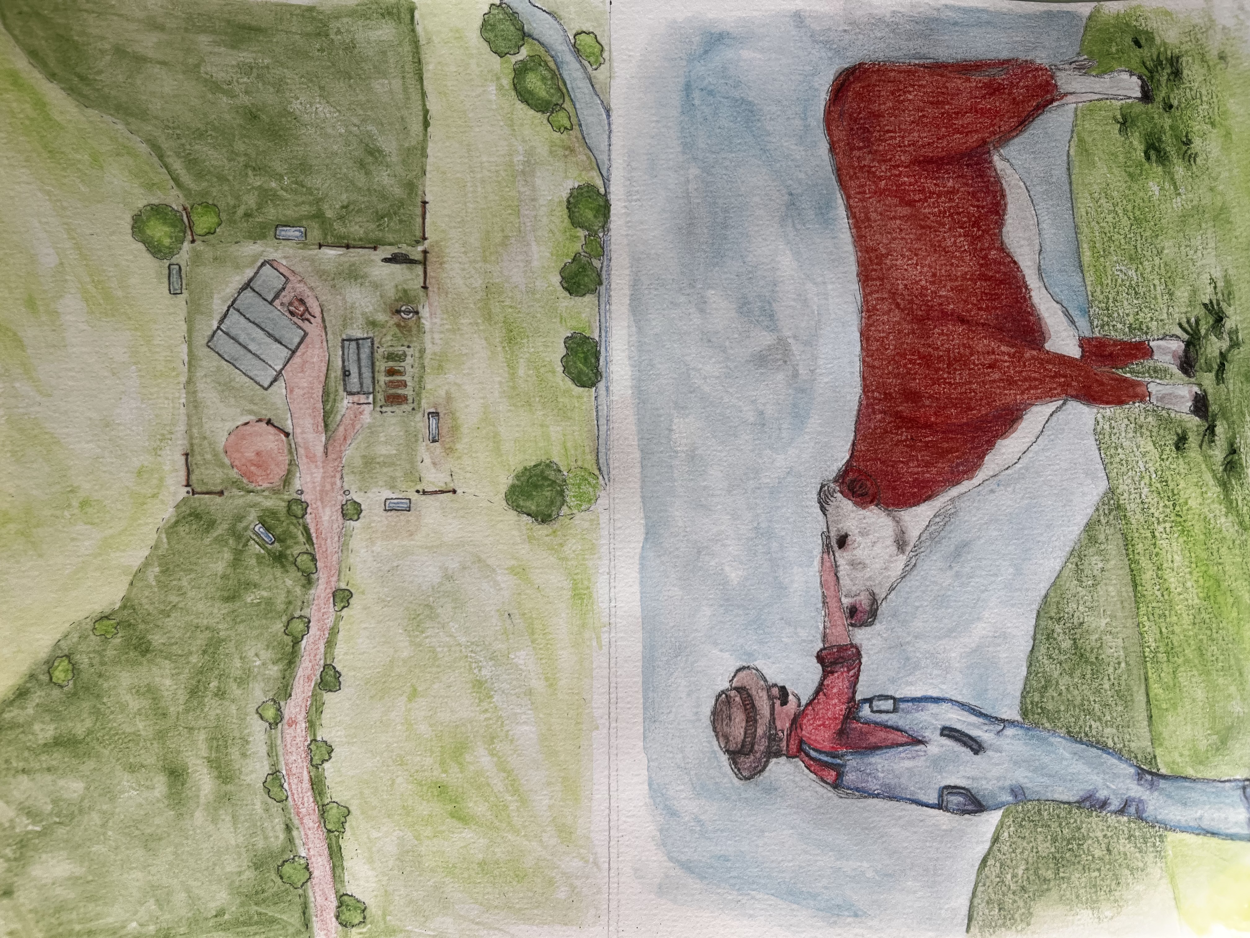 Bessie illustration II