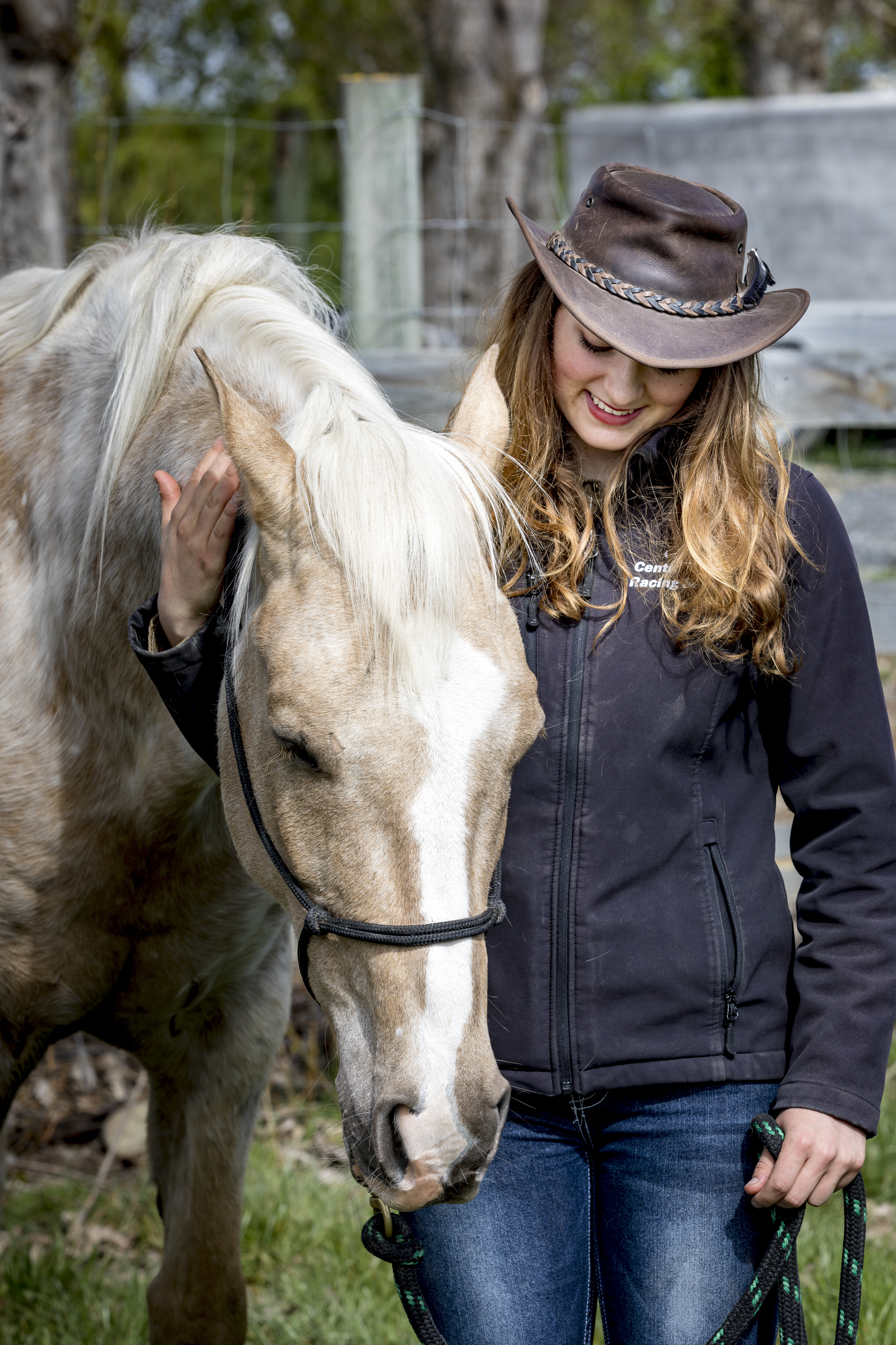 Horse Training Connection